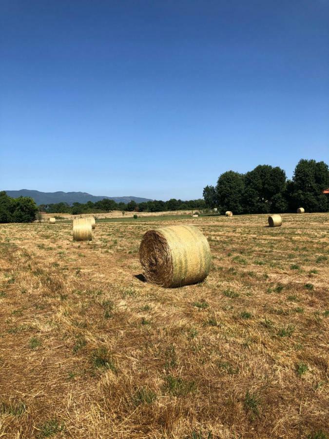 Antico Casale Silvia Βίλα Alberoro Εξωτερικό φωτογραφία